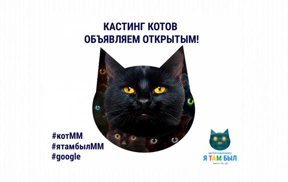 Кот мастер на все. Кастинг котов.