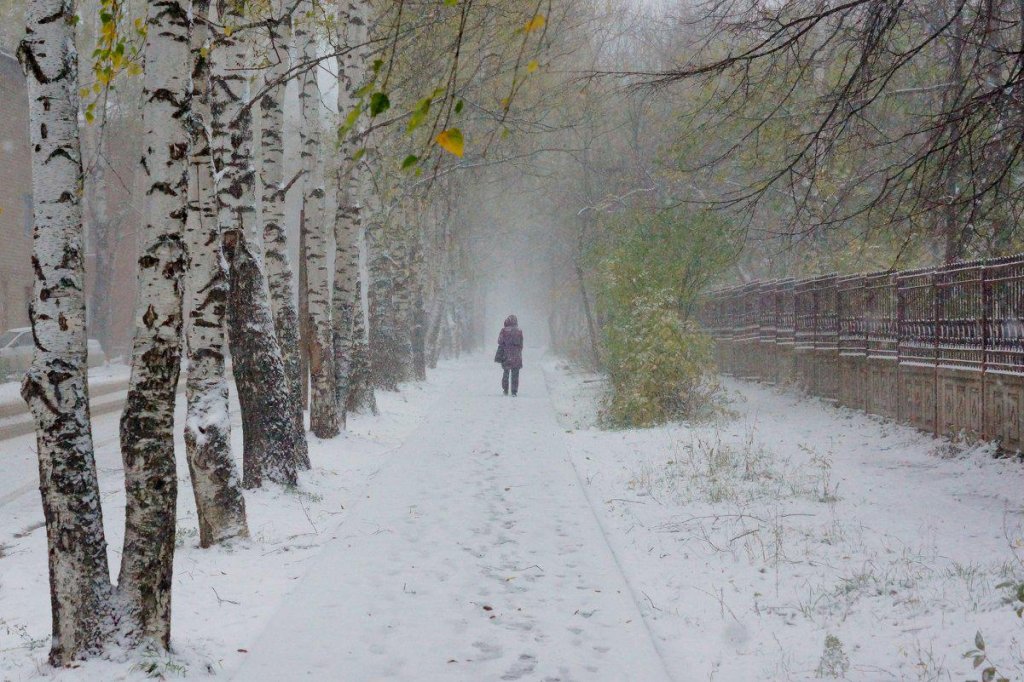10 стихов русских поэтов о первом снеге3