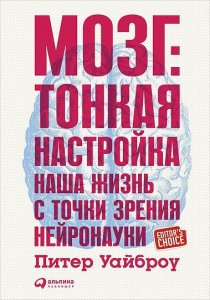 Почему бы не использовать внезапно образовавшиеся коронные каникулы для того, чтобы узнать о своем мозге чуть больше?