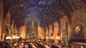Гарри Поттер и Рождество