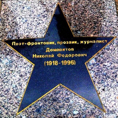 Звезда Николая Домовитова
