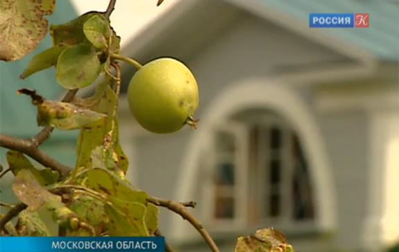 день памяти Блока