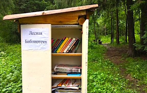 лесная библиотека в Перми