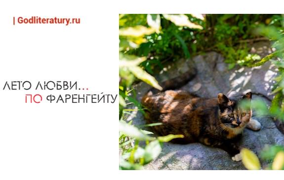 Фаренгейт. Любить и кормить