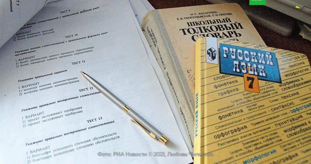 Сочинение по теме Проект реформы русского языка