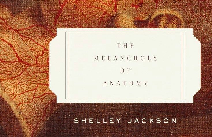 Фрагмент обложки книги Шелли Джексон