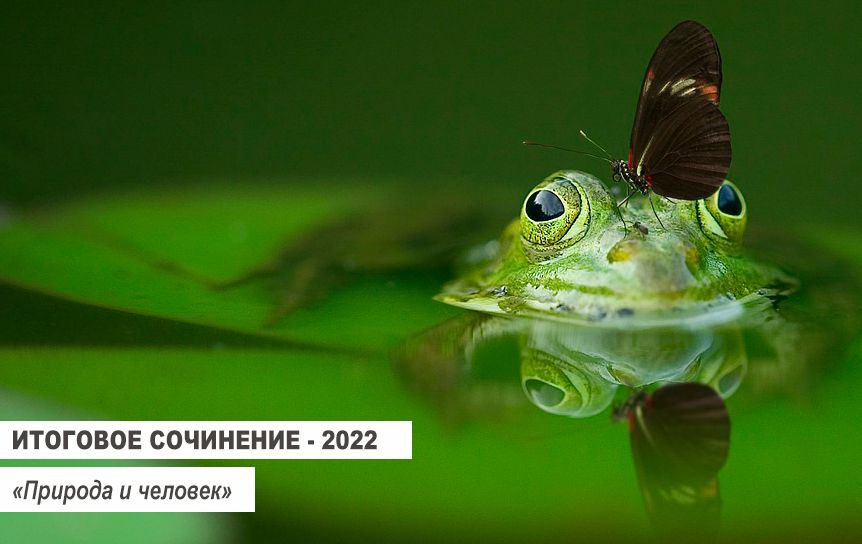 Итоговое сочинение-2022. «Природа и человек» / Pioxabay.com