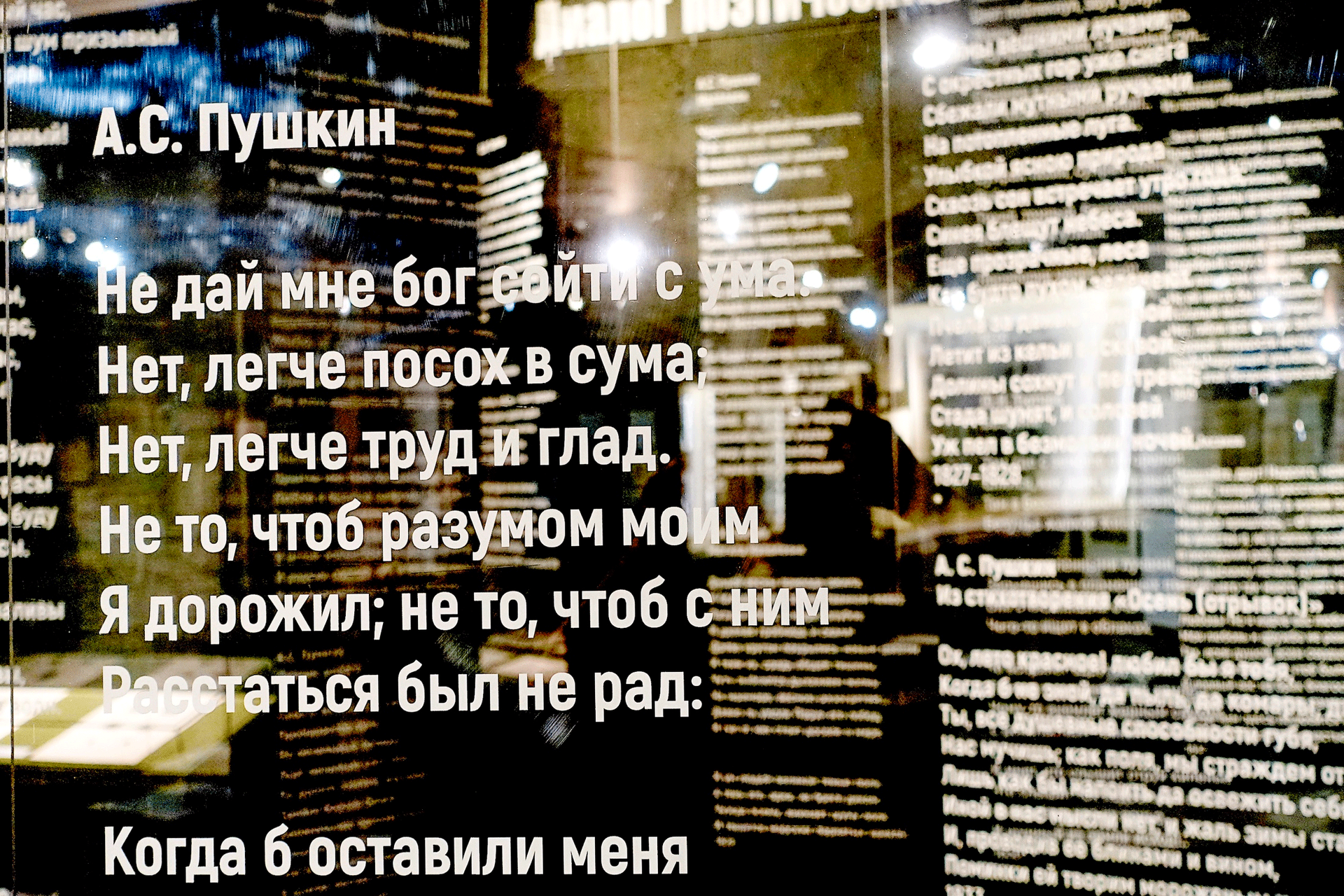 Выставка «„Нам не дано предугадать…“. К 225-летию А.С. Пушкина» - Год  Литературы